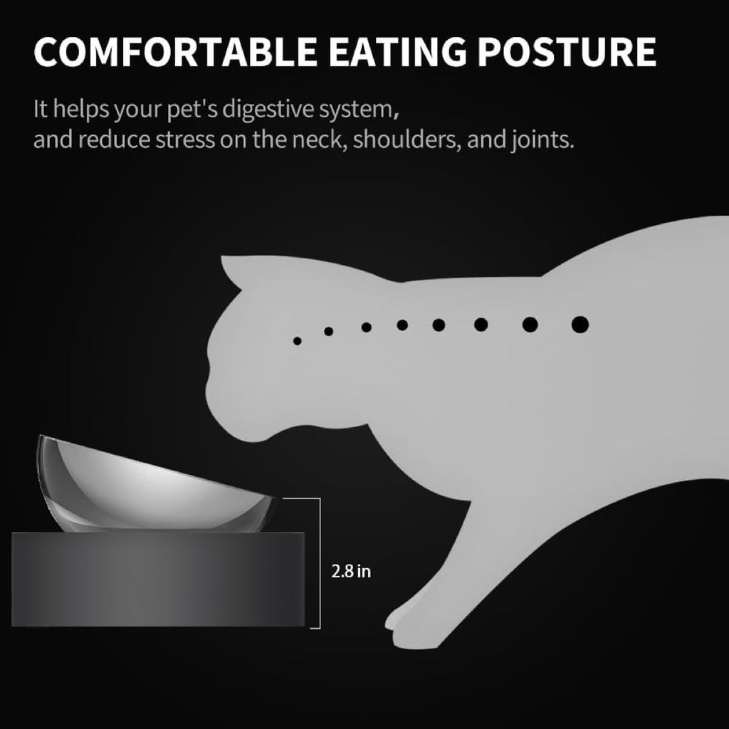 Elevated Dog Cat Bowl with 2 Stainless Steel Bowls V745