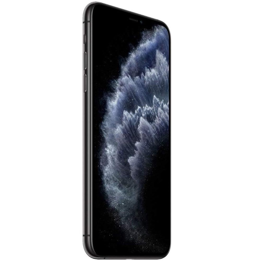 iPhone 11 Pro 256GB Space Gray Unlocked C41666