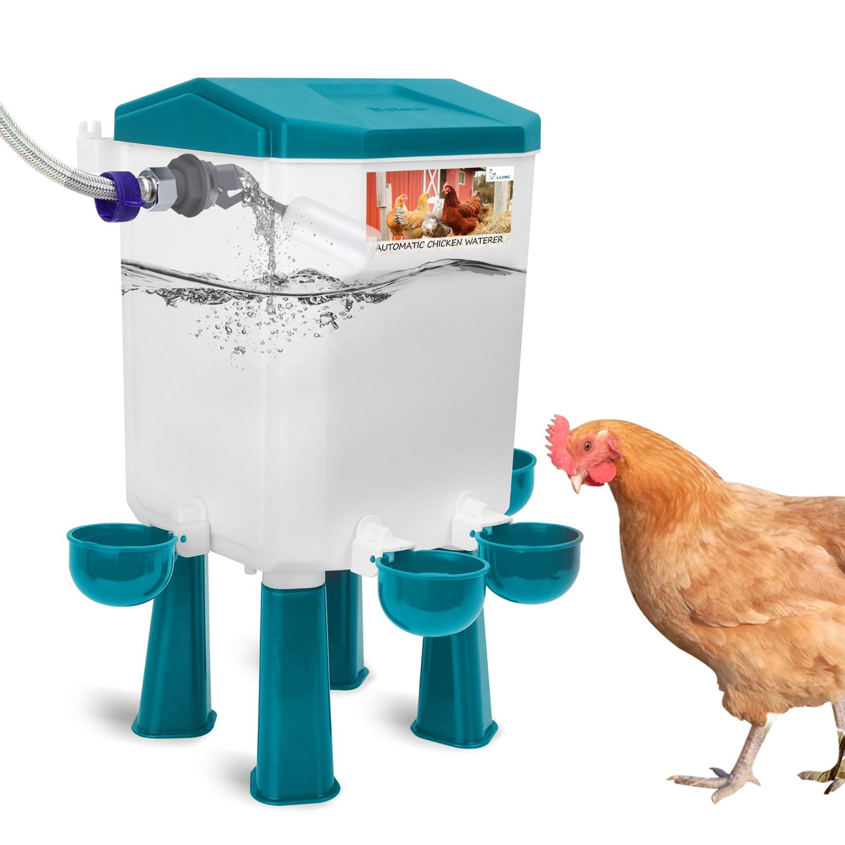 Automatic Chicken Waterer V471952