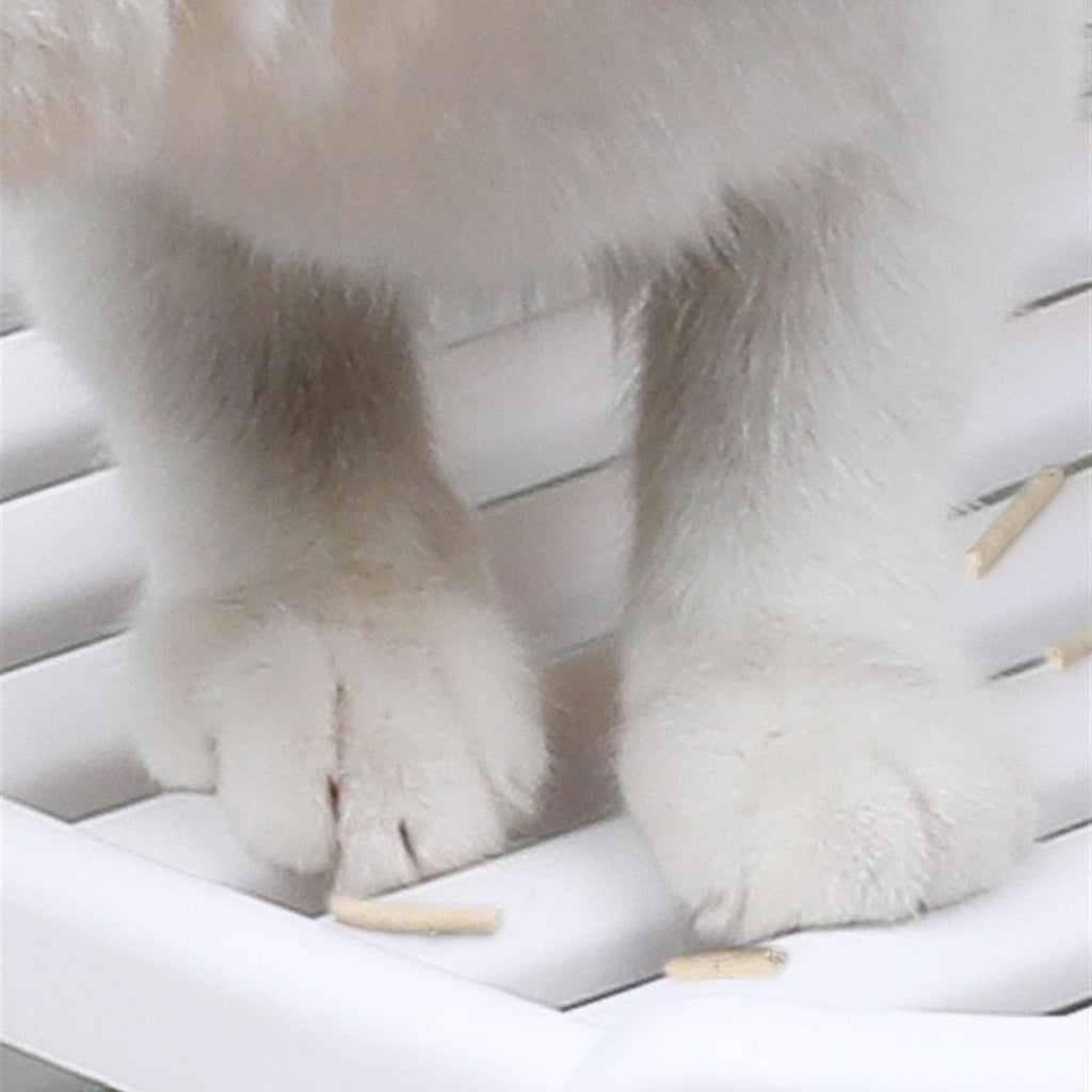 Cat Litter Box with Lid, Top Entry with Scoop, Enclosed Plastic with Drawer B2161