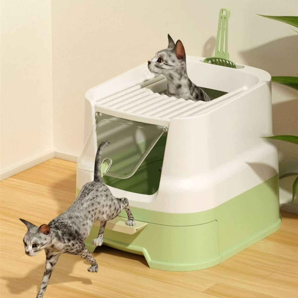 Cat Litter Box with Lid, Top Entry with Scoop, Enclosed Plastic with Drawer B2161