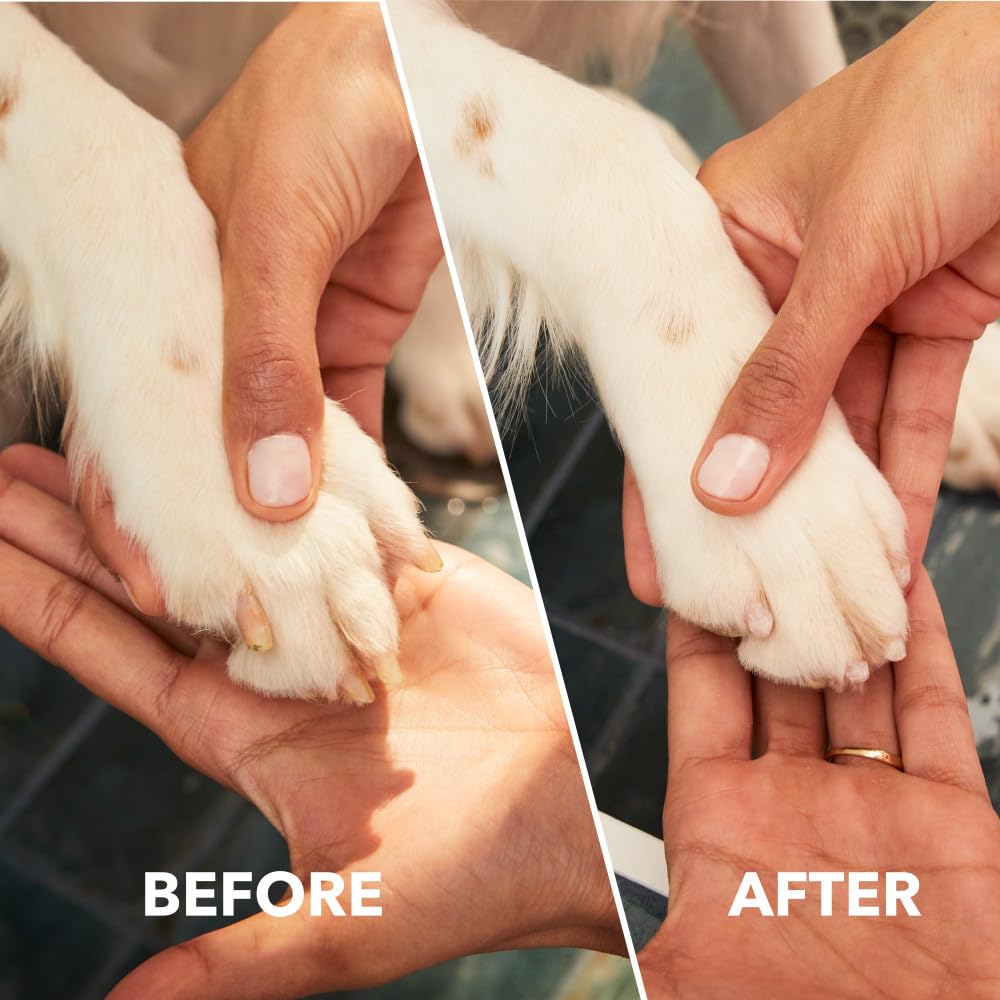 Dog Nail Grinder and Trimmer, Pet Grooming Kit I97418