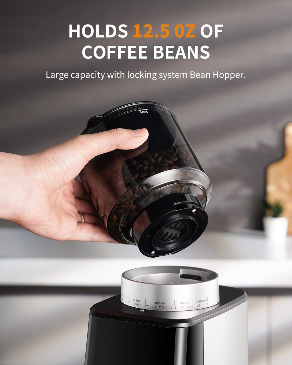 Electric Conical Burr Coffee Grinder with Timer H764