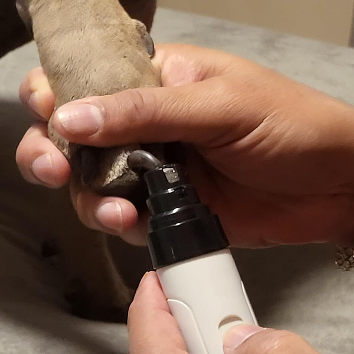 Cortador De Uñas Sin Estrés USB Rechargeable Automatic Pet Nail Trimmer Z64969