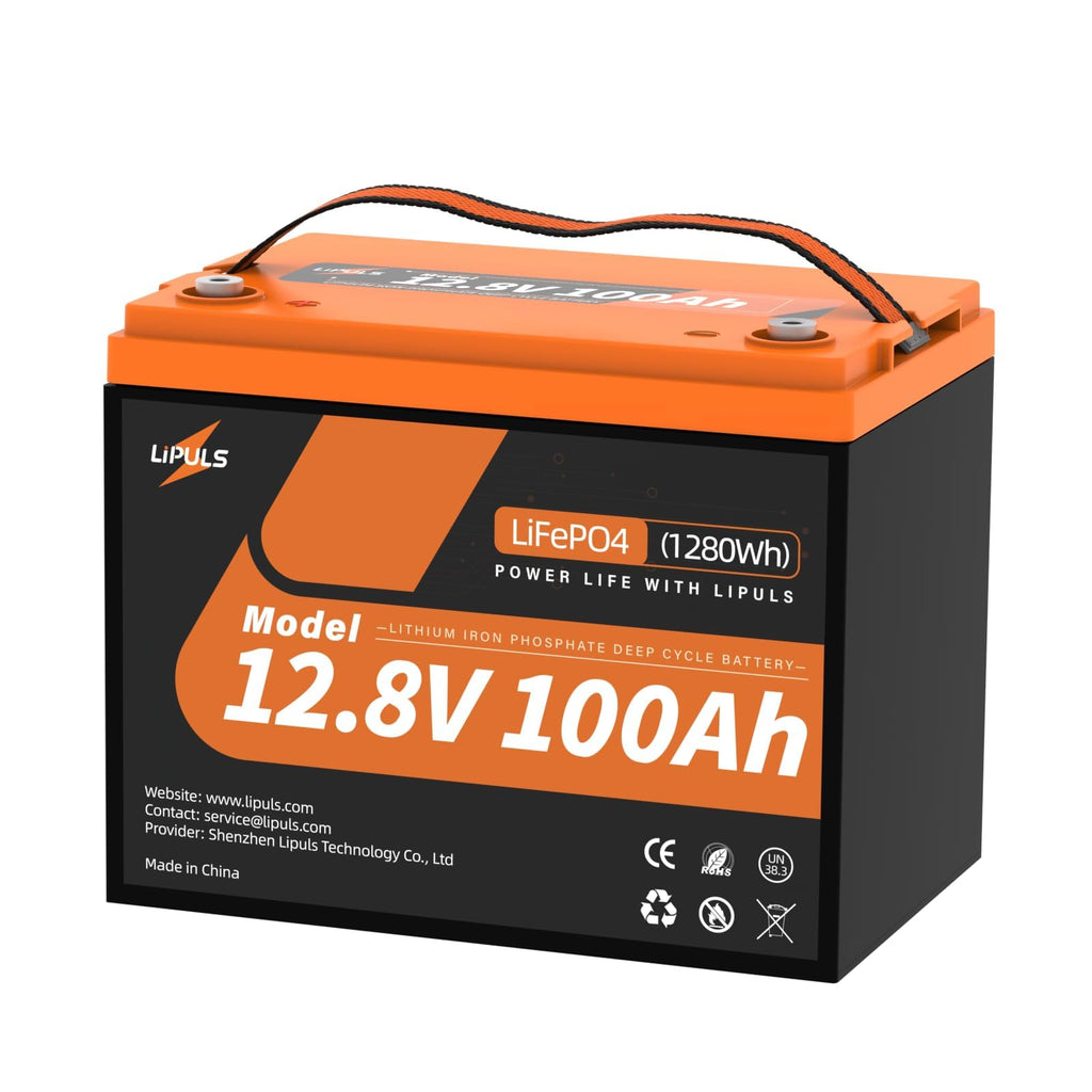 12.8V 100Ah LiFePO4 Deep Cycle Battery E77711