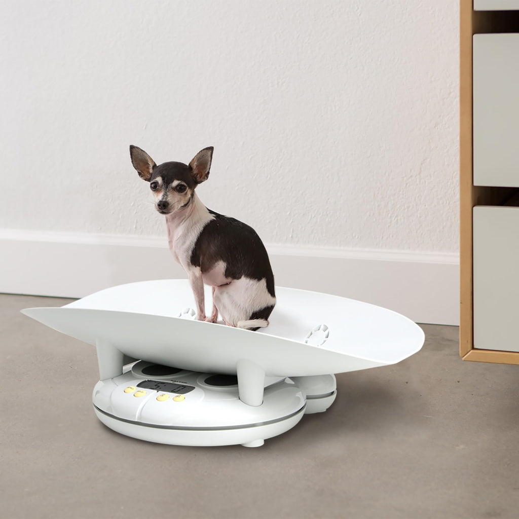 Digital Baby and Toddler Scale with Removable Tray O84190