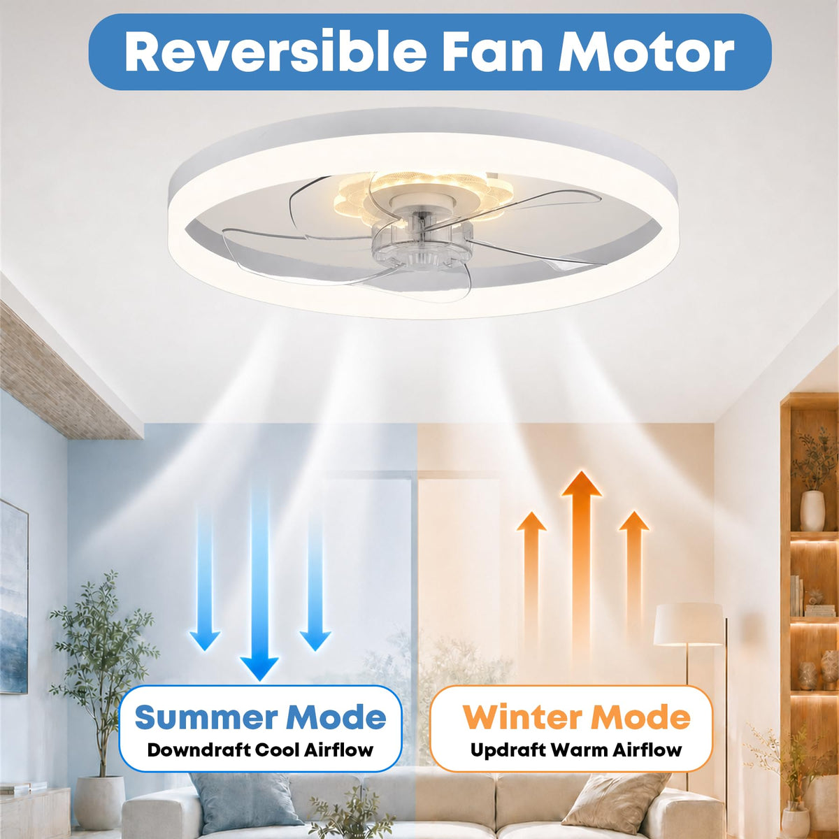 20'' Ceiling Fan with Light and Remote R85607