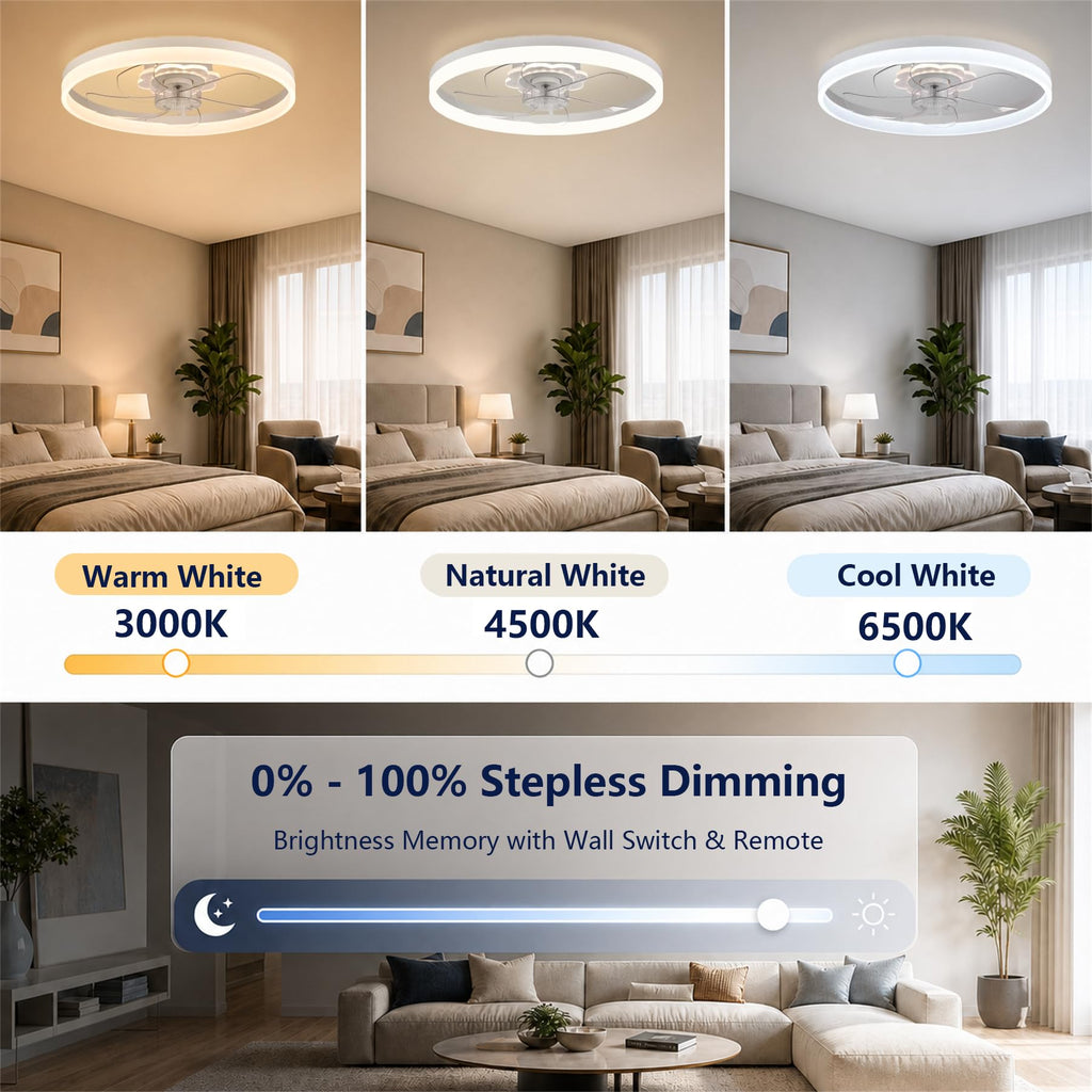 20'' Ceiling Fan with Light and Remote R85607