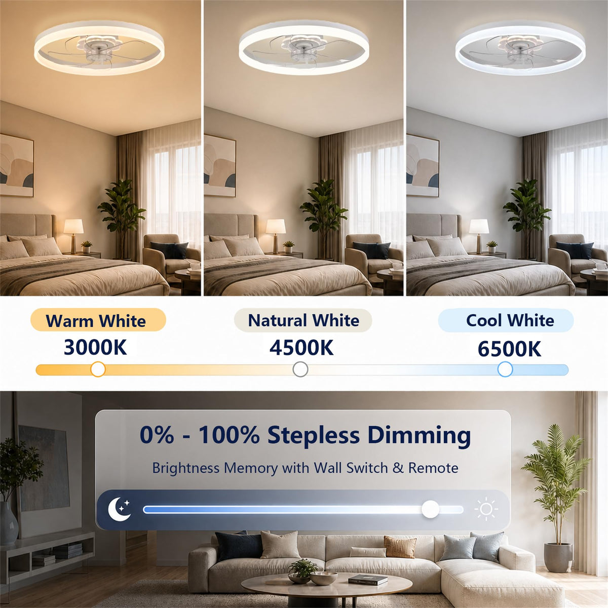 20'' Ceiling Fan with Light and Remote R85607