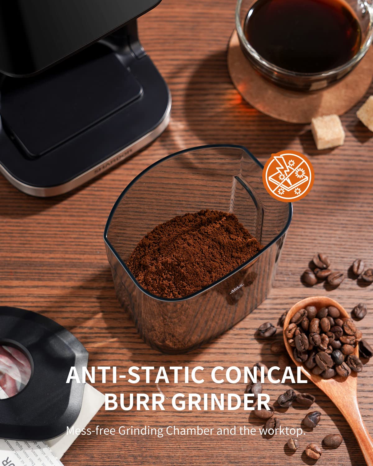 Electric Conical Burr Coffee Grinder with Timer H764