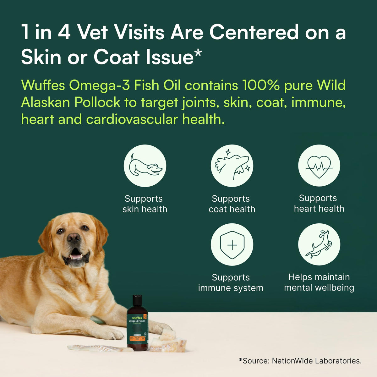 Omega-3 Fish Oil for Dogs, 16 oz Wild Alaskan Pollock Oil U573532