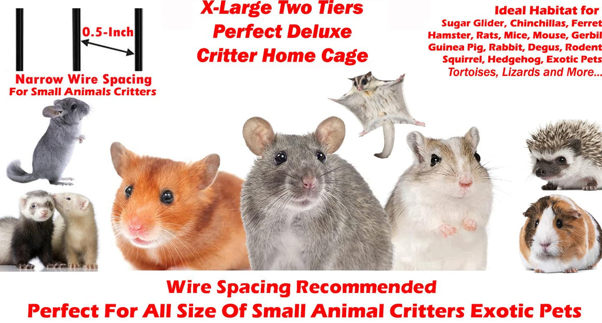 X-Large 4-Tiers Two Full Story Double Unit Critter Home On Wheels P897