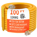 100 FT 12/3 Gauge Heavy Duty Outdoor Extension Cord Waterproof N103