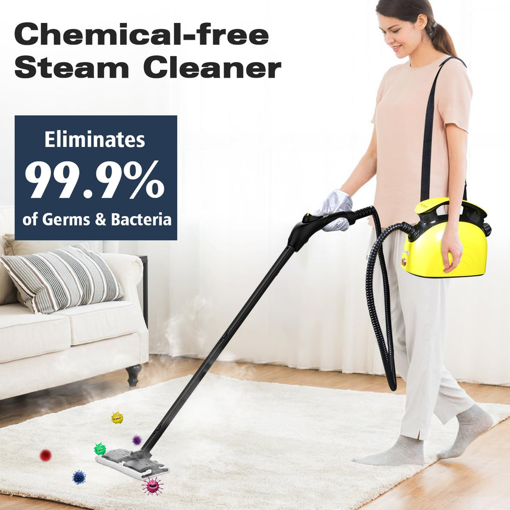Multipurpose Steam Cleaner with 21 Accessories W117