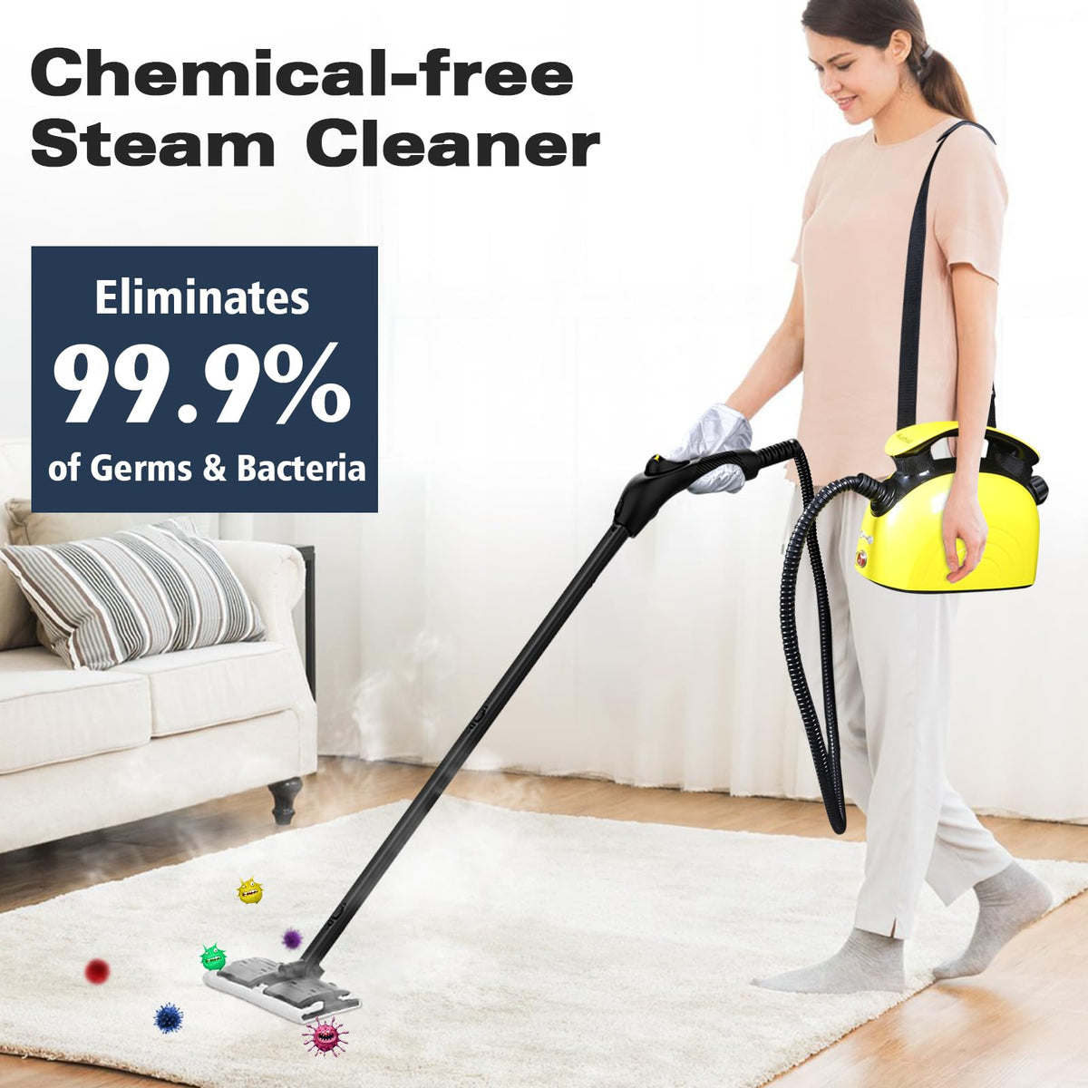 Multipurpose Steam Cleaner with 21 Accessories W117