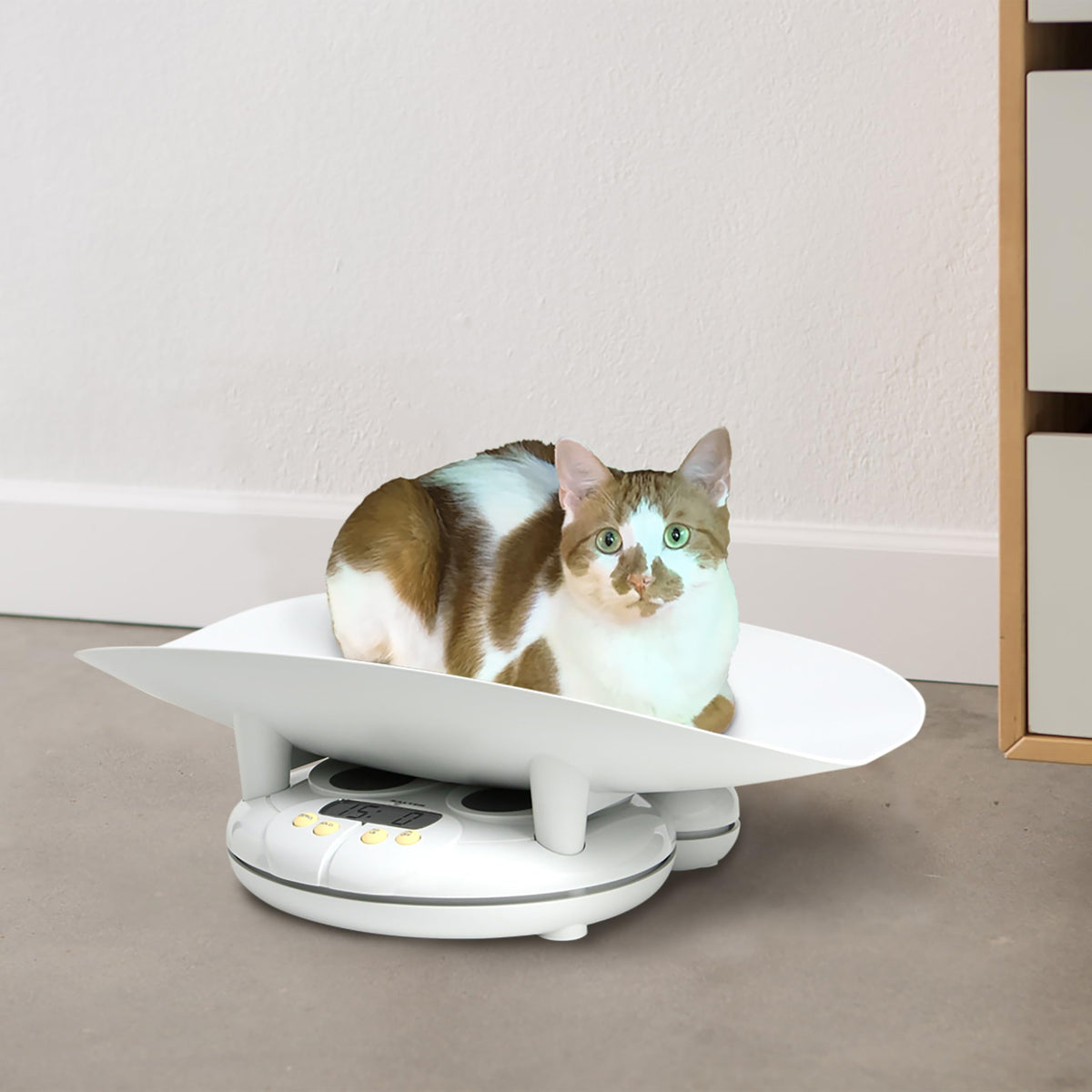 Digital Baby and Toddler Scale with Removable Tray O84190