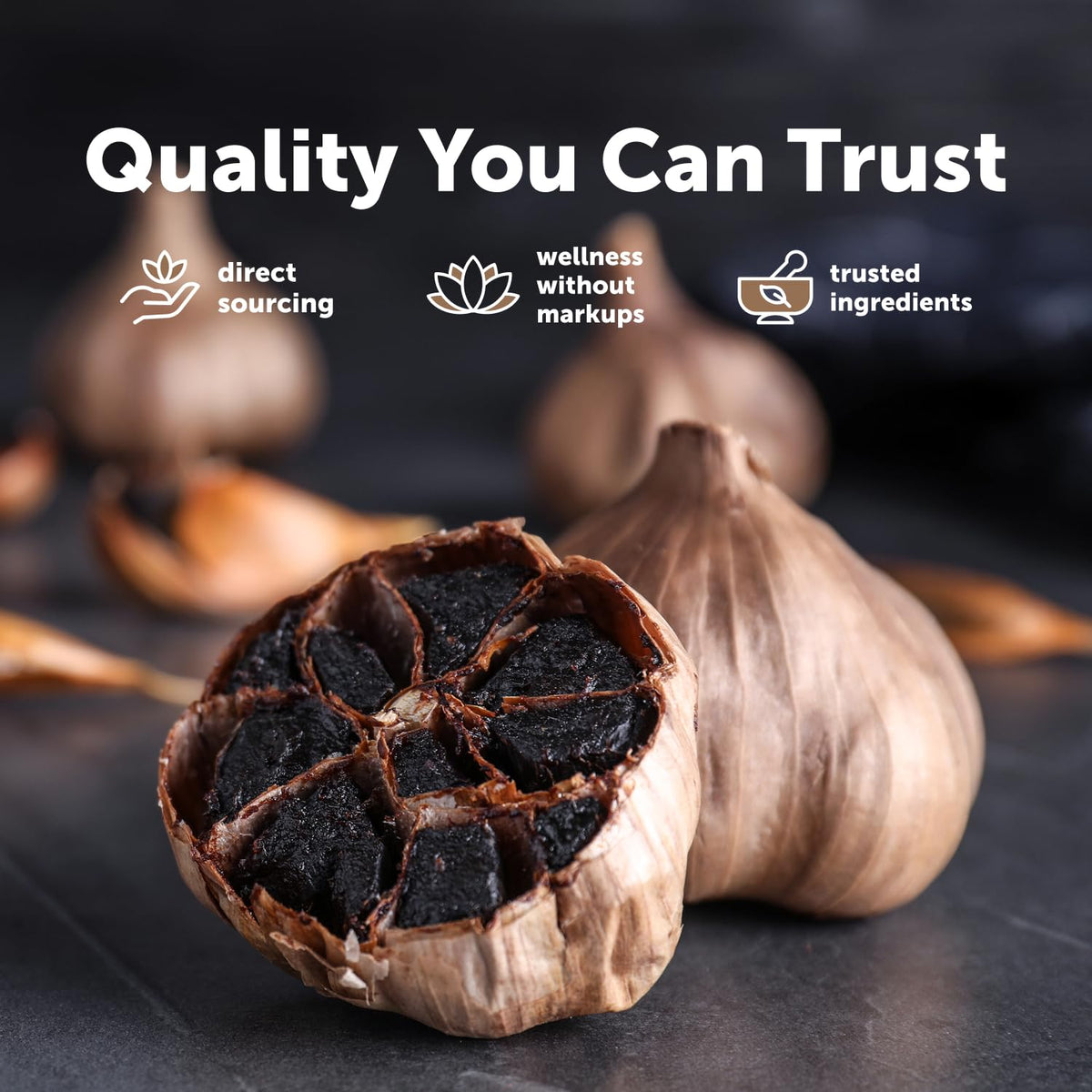 Odorless Aged Garlic & Black Garlic B1565