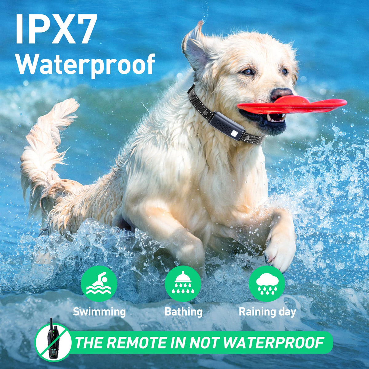 Waterproof Rechargeable Dog Training Collar with Remote W11528