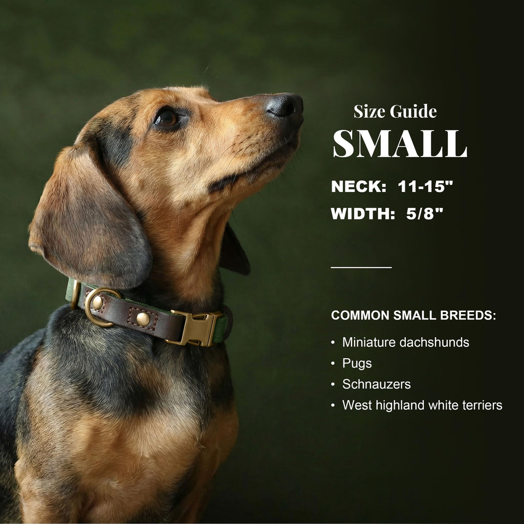 PU Leather Dog Collar H168