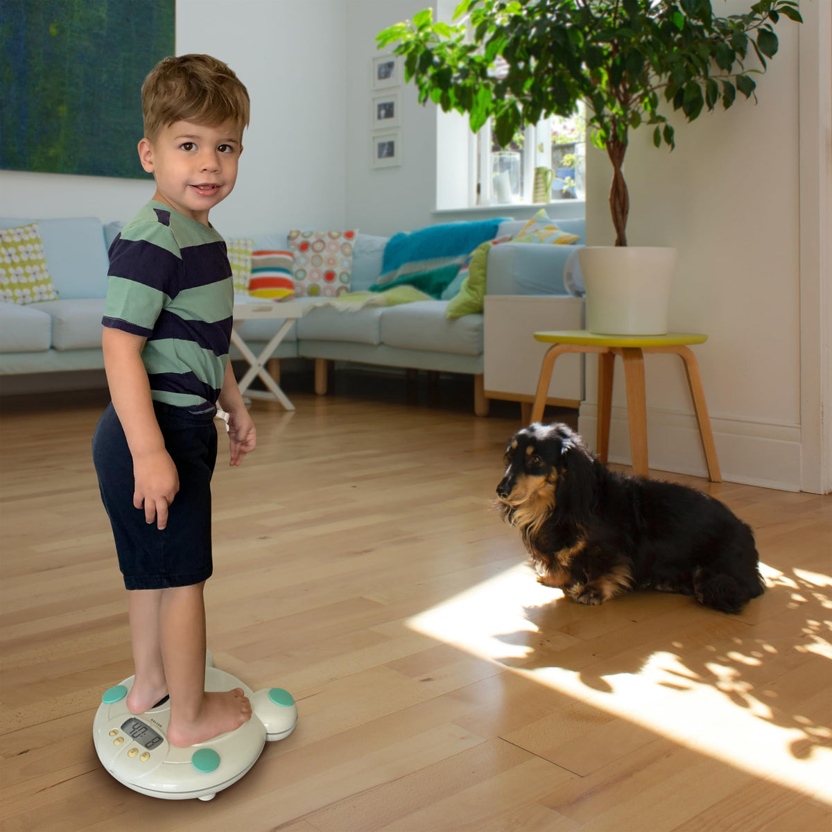 Digital Baby and Toddler Scale with Removable Tray O84190