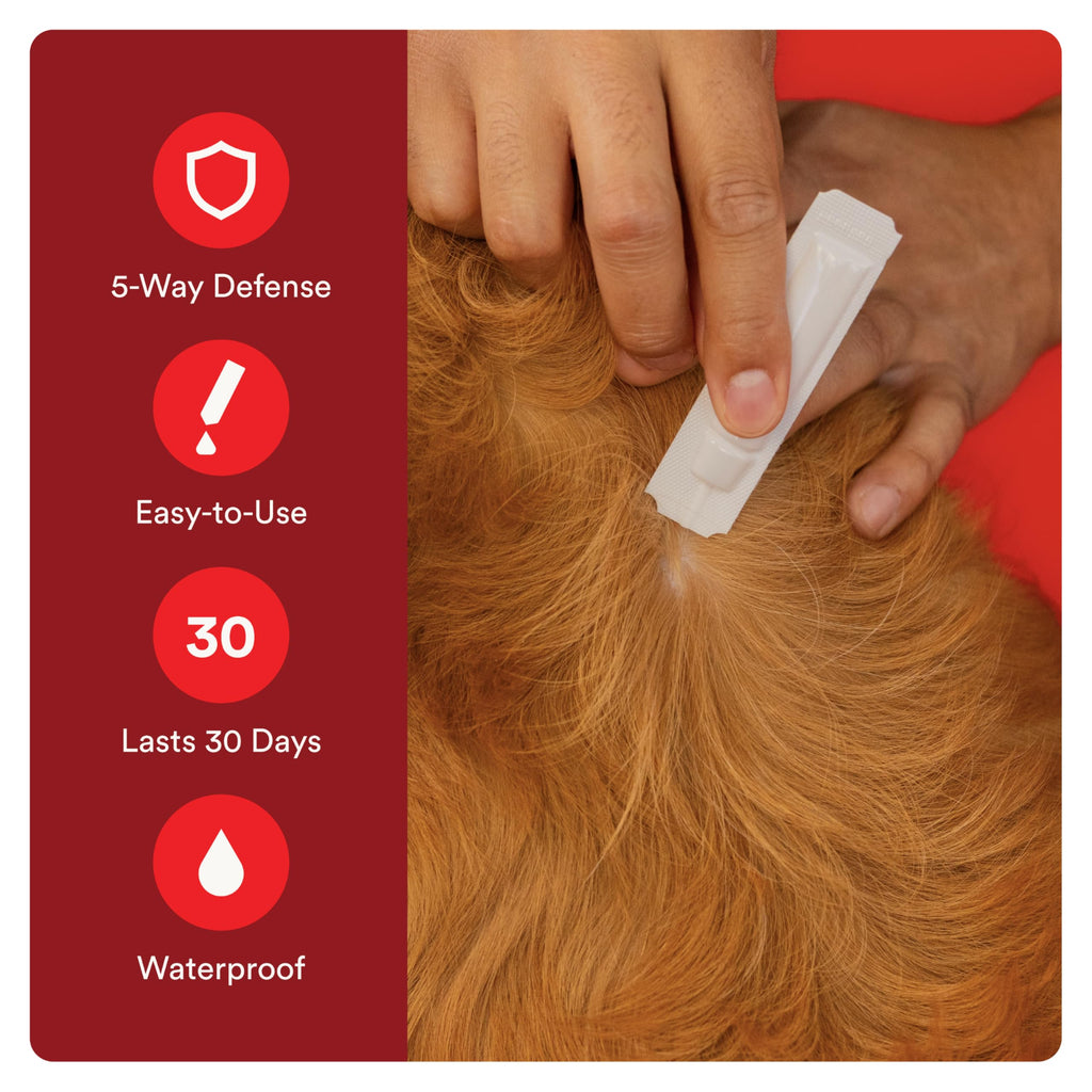 Flea and Tick Prevention for Small Dogs 4-10 lbs (2 Doses) + Flea Treatment for Dogs 2-25 lbs (6 Doses) S330