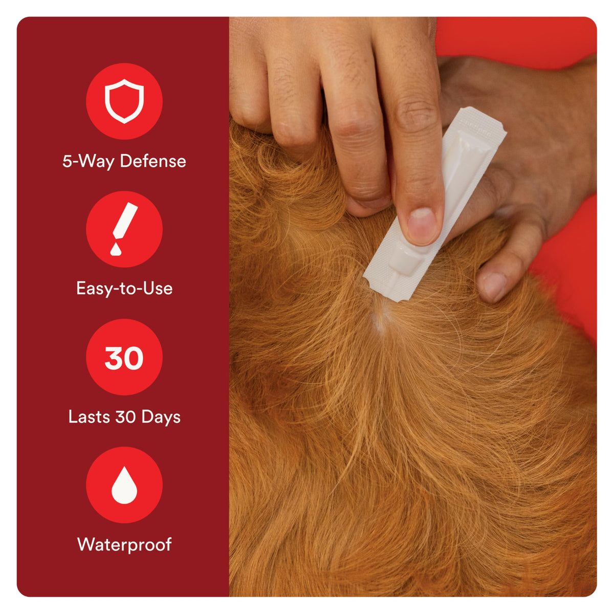 Flea and Tick Prevention for Small Dogs 4-10 lbs (2 Doses) + Flea Treatment for Dogs 2-25 lbs (6 Doses) S330