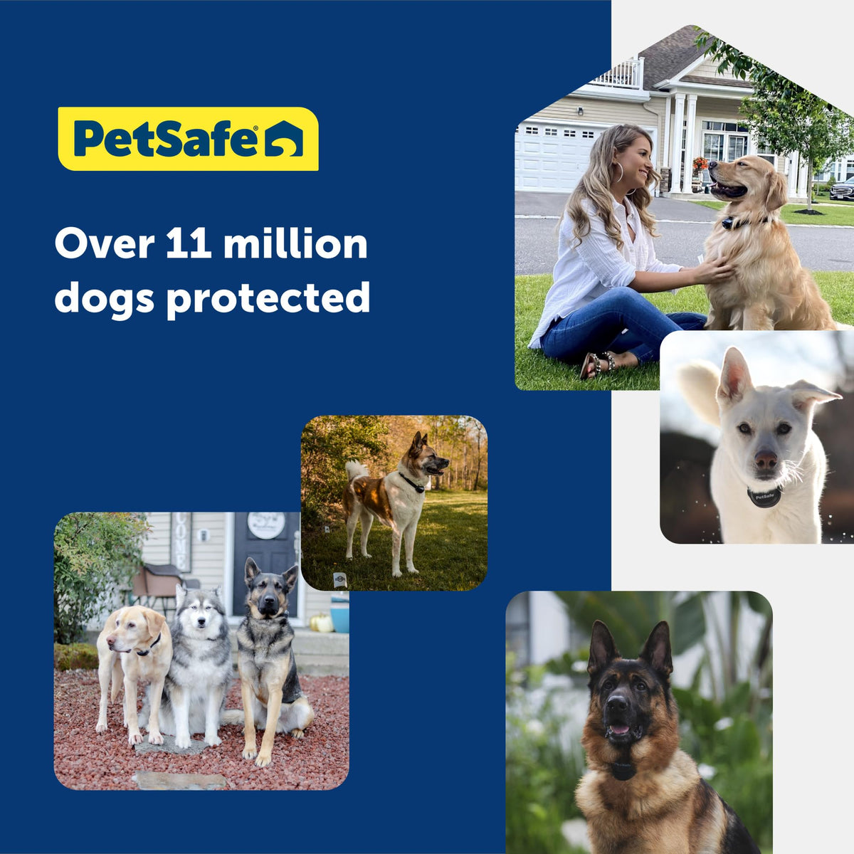 In-Ground Fence for 2 Dogs S751