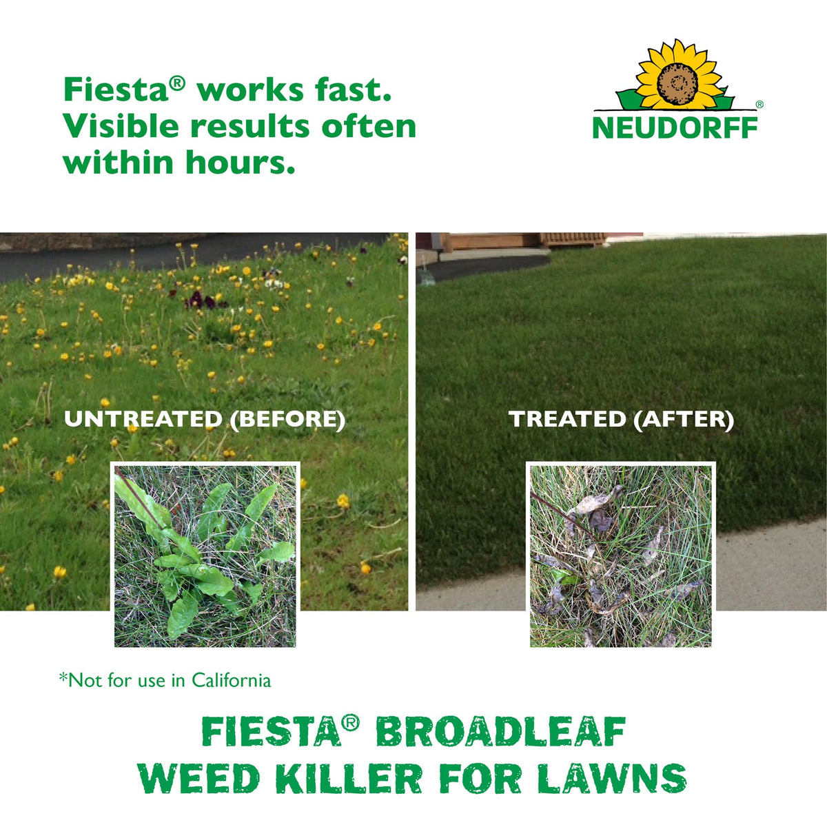 Turf Weed Killer Herbicide Concentrate One Gallon S9435