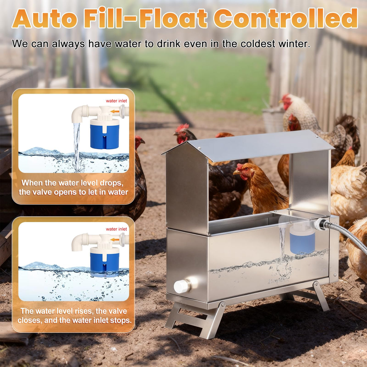 Heated 2 Gallon Stainless Steel Chicken Waterer I729
