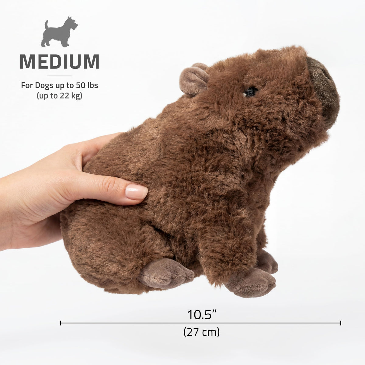 Plush Squeaky Dog Toy M426443