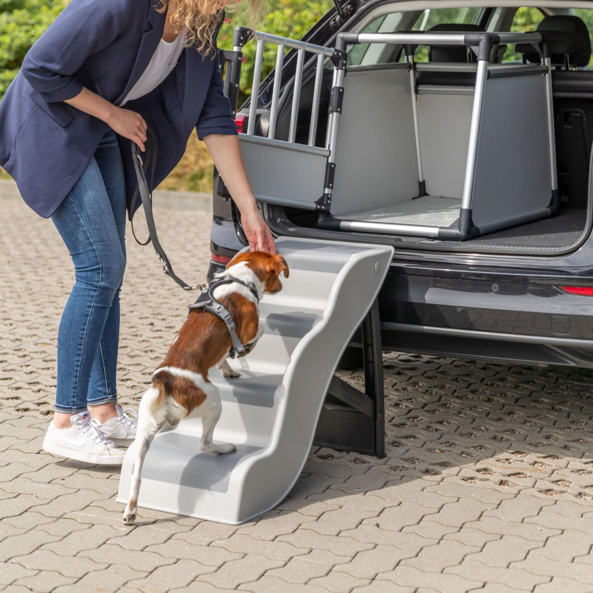 Lightweight 4-Step Pet Stairs Z825413