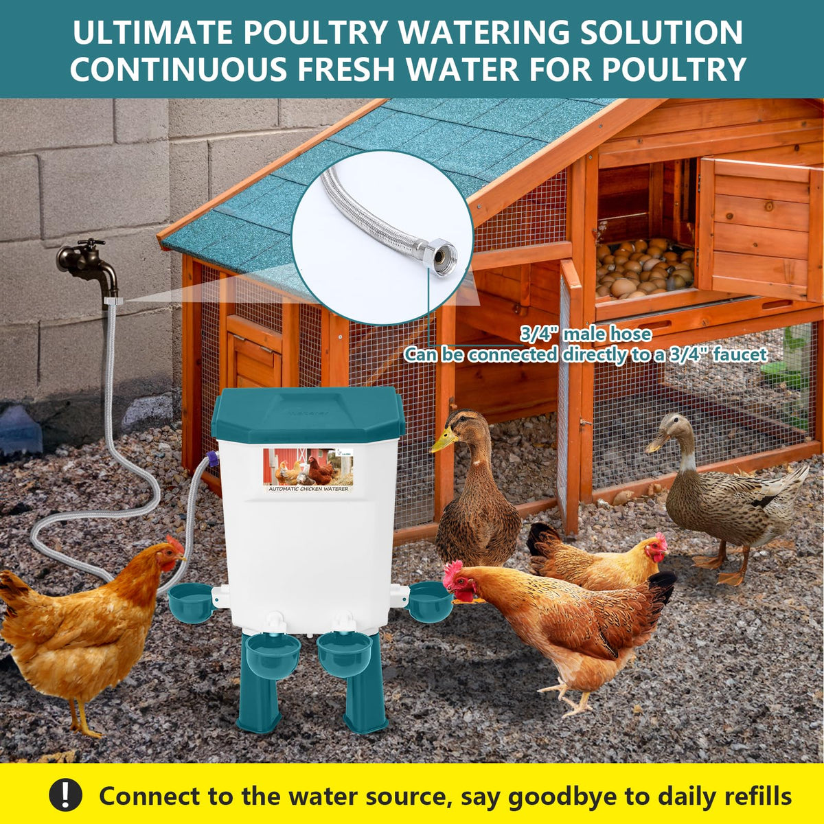 Automatic Chicken Waterer V471952