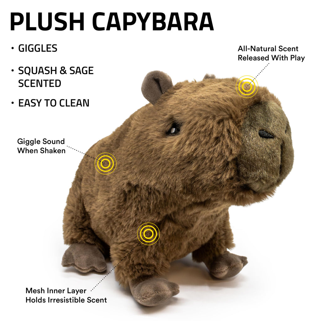 Plush Squeaky Dog Toy M426443