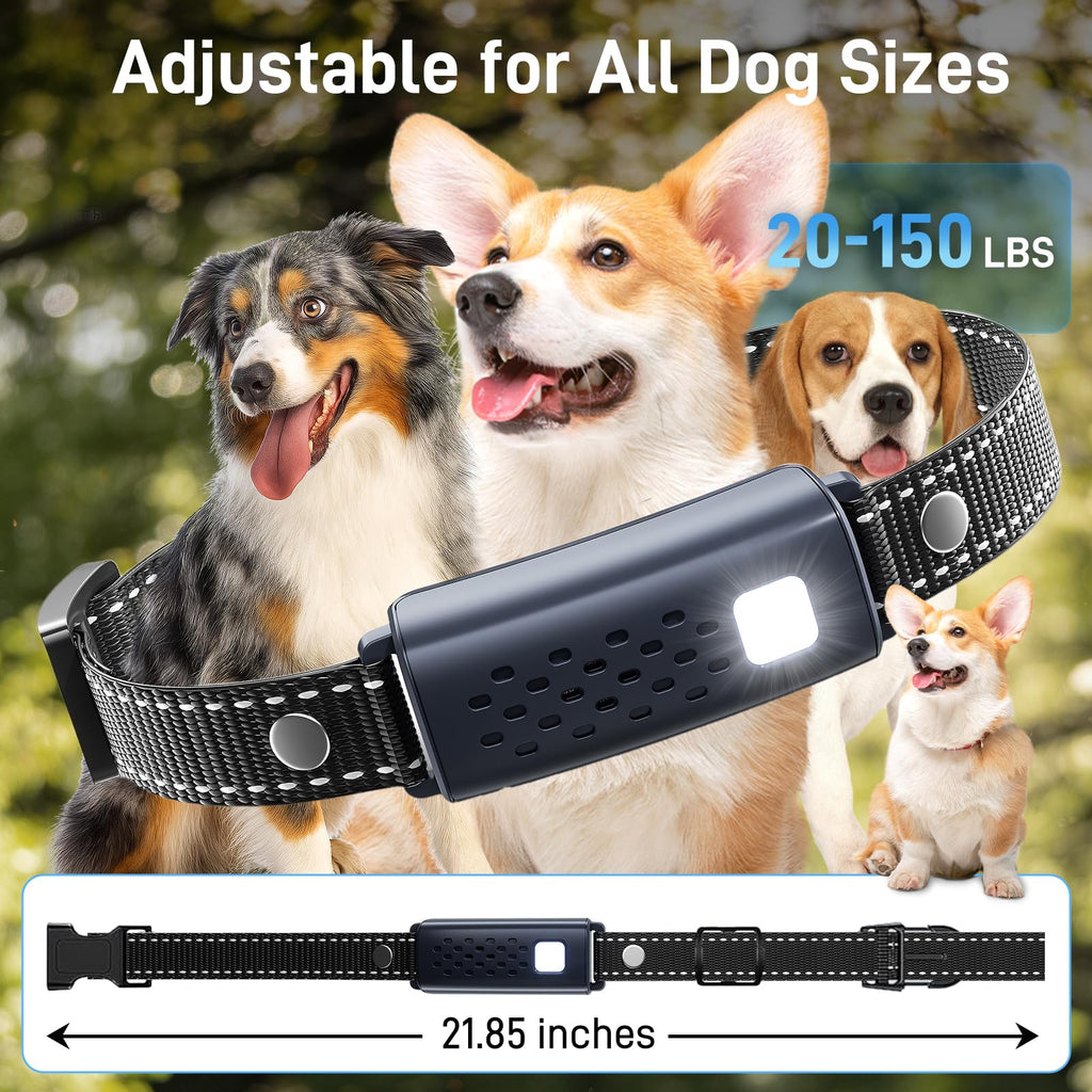 Waterproof Rechargeable Dog Training Collar with Remote W11528