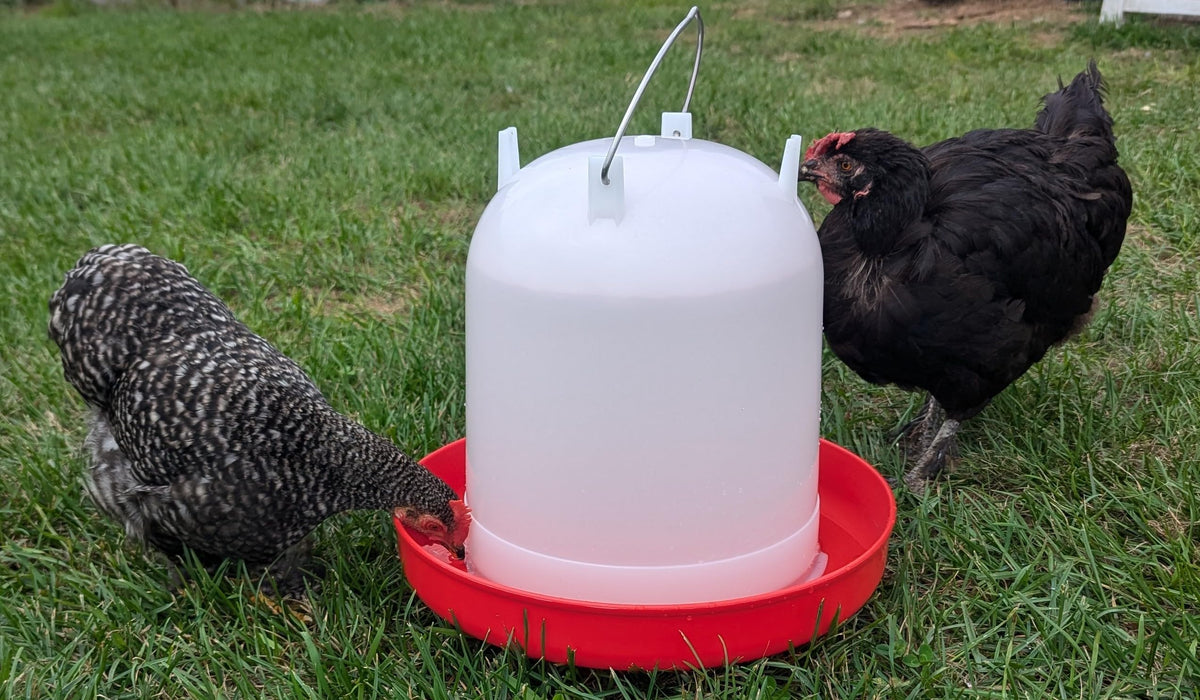 8L Chicken Waterer with Adjustable Legs X864974