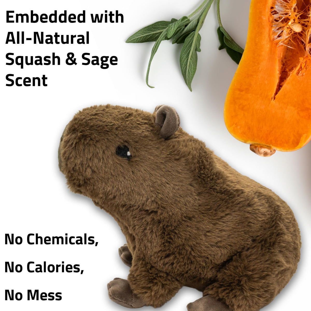 Plush Squeaky Dog Toy M426443