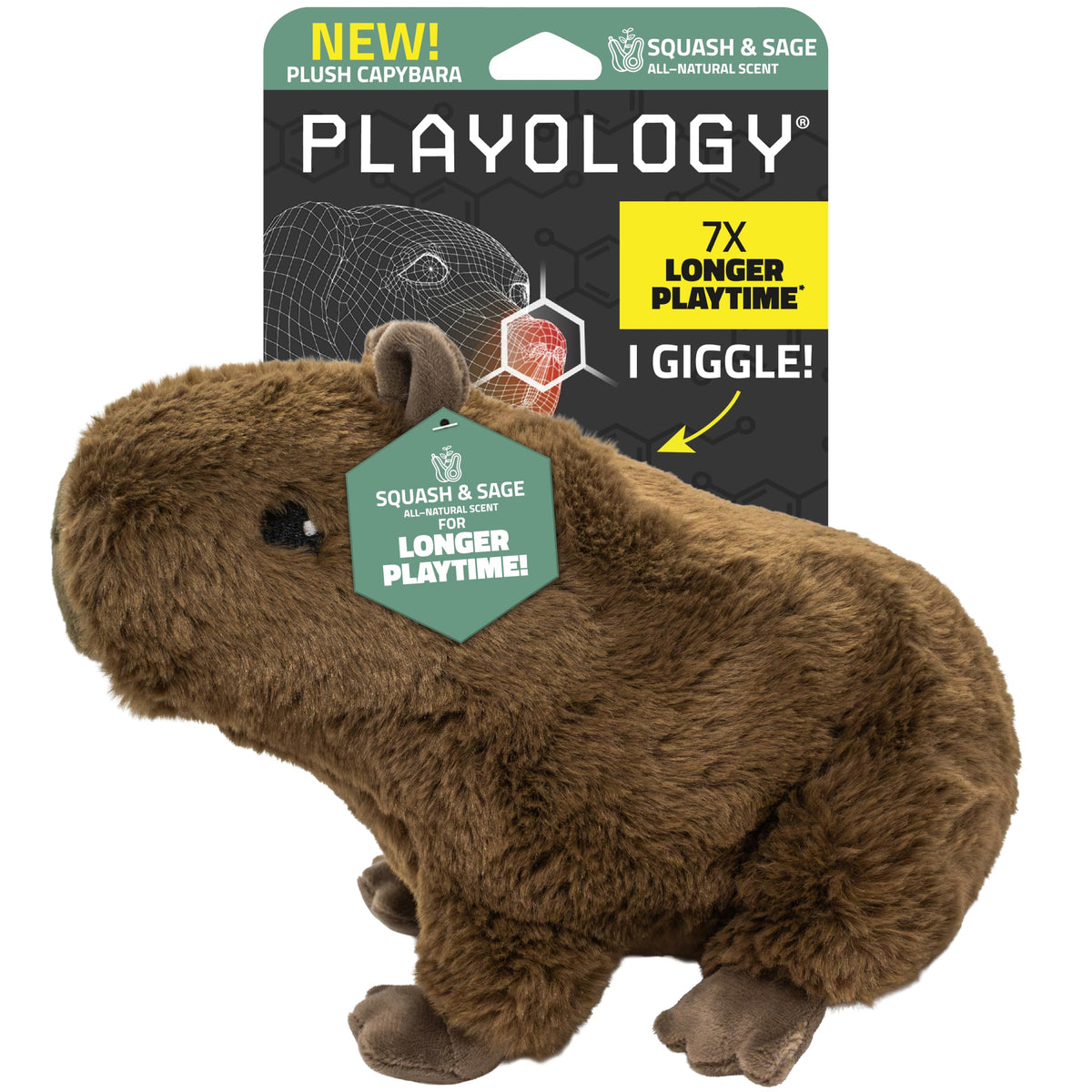 Plush Squeaky Dog Toy M426443