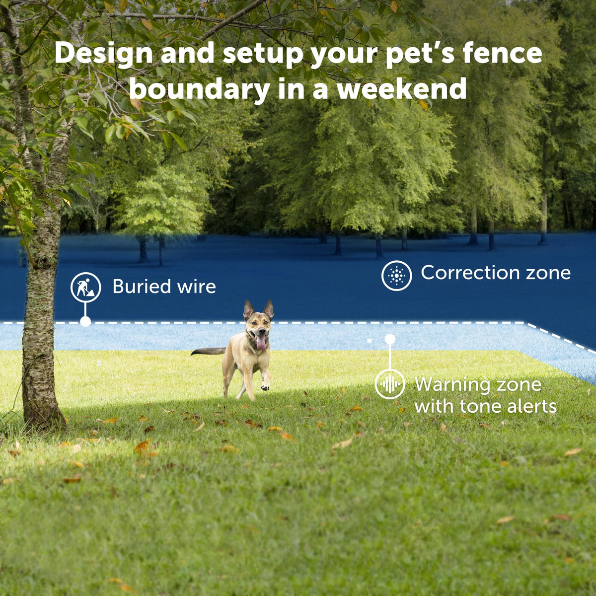 In-Ground Fence for 2 Dogs S751