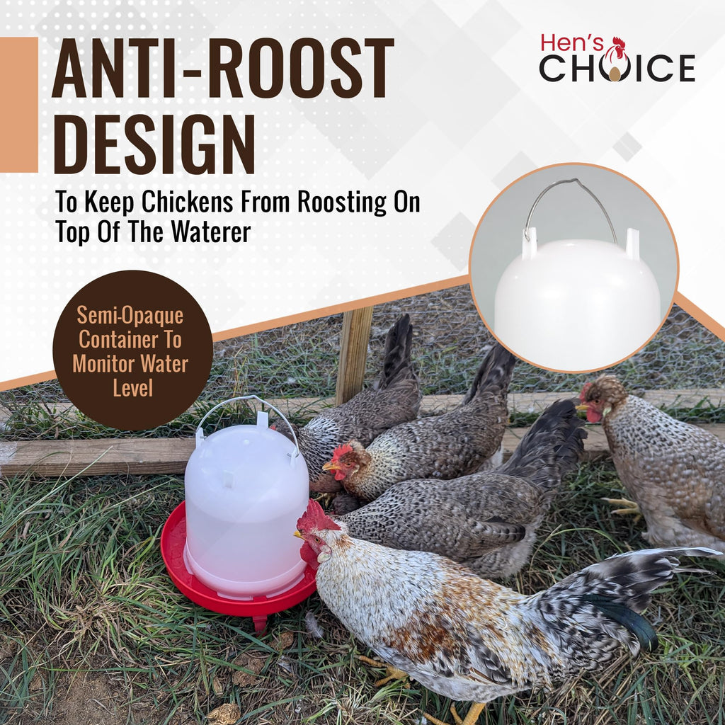 8L Chicken Waterer with Adjustable Legs X864974